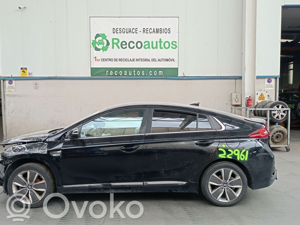Ioniq Ioniq  95920F2100