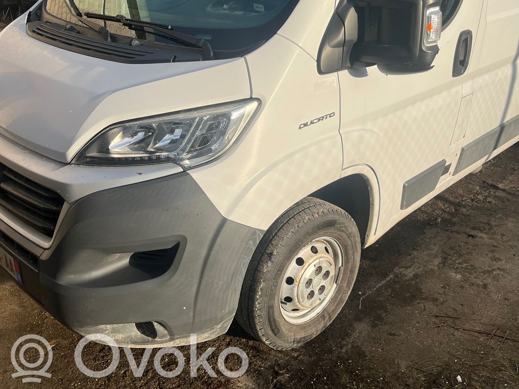 Ducato Ducato