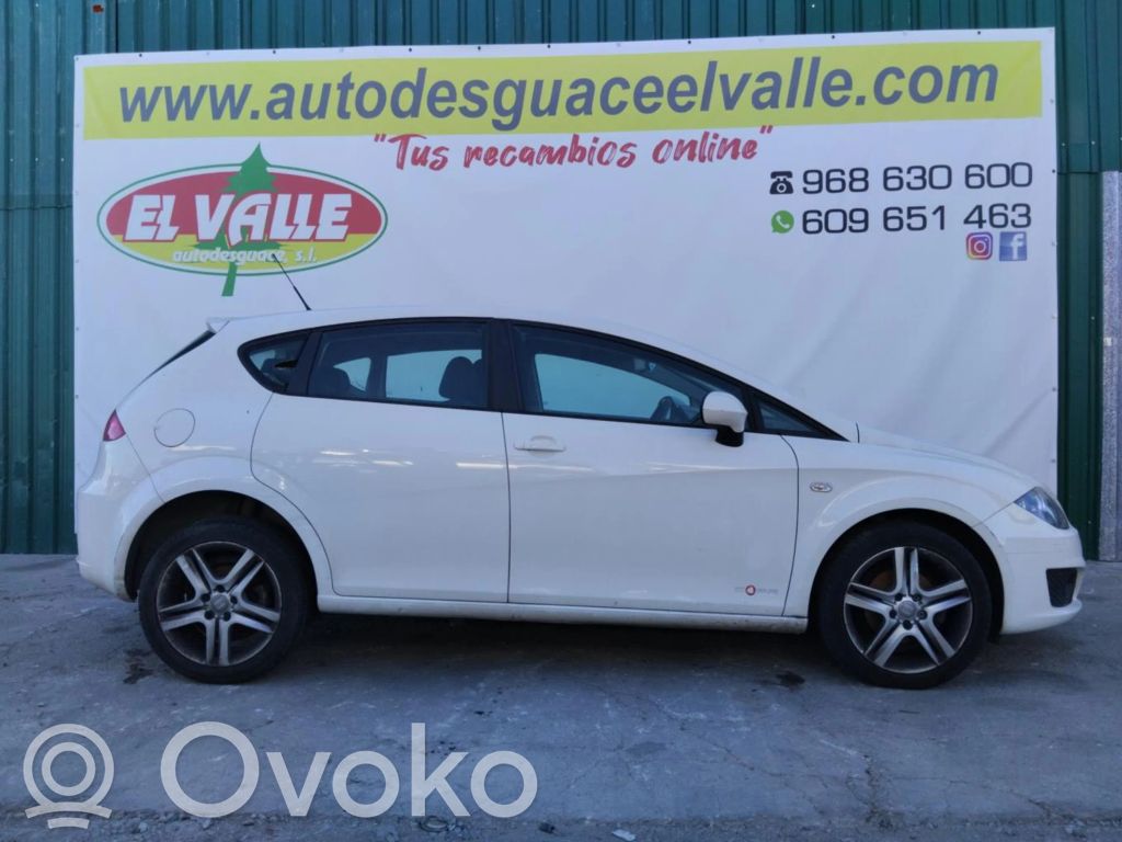 Leon (1P) Leon  03L906262A