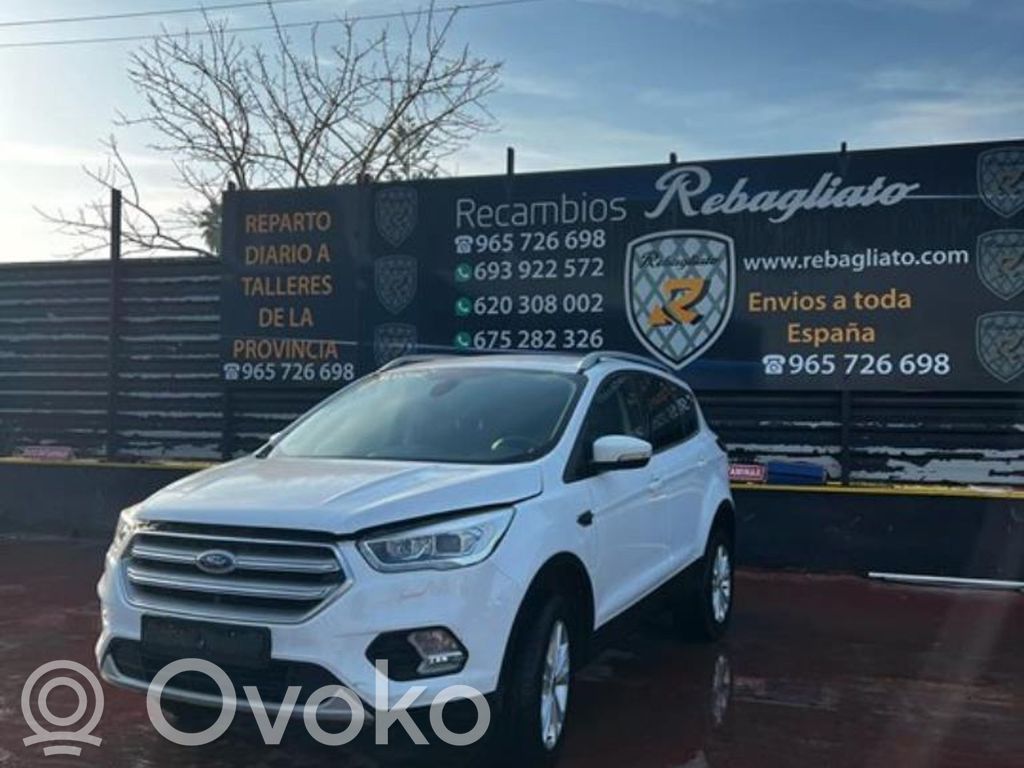Kuga I Kuga  BV6C3289