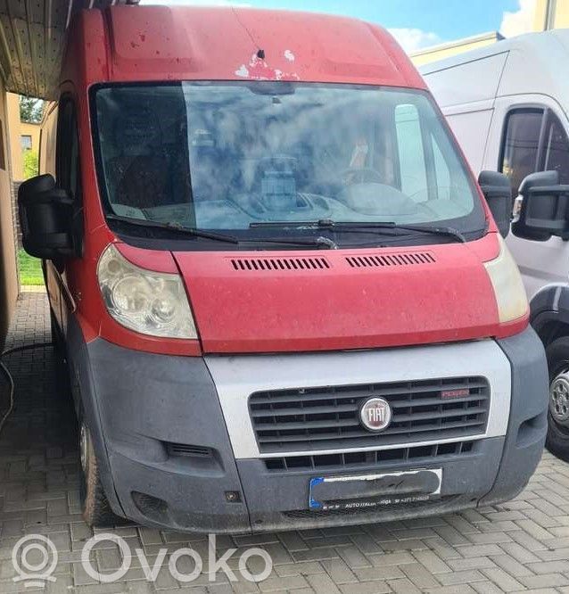 Ducato Ducato  504057813