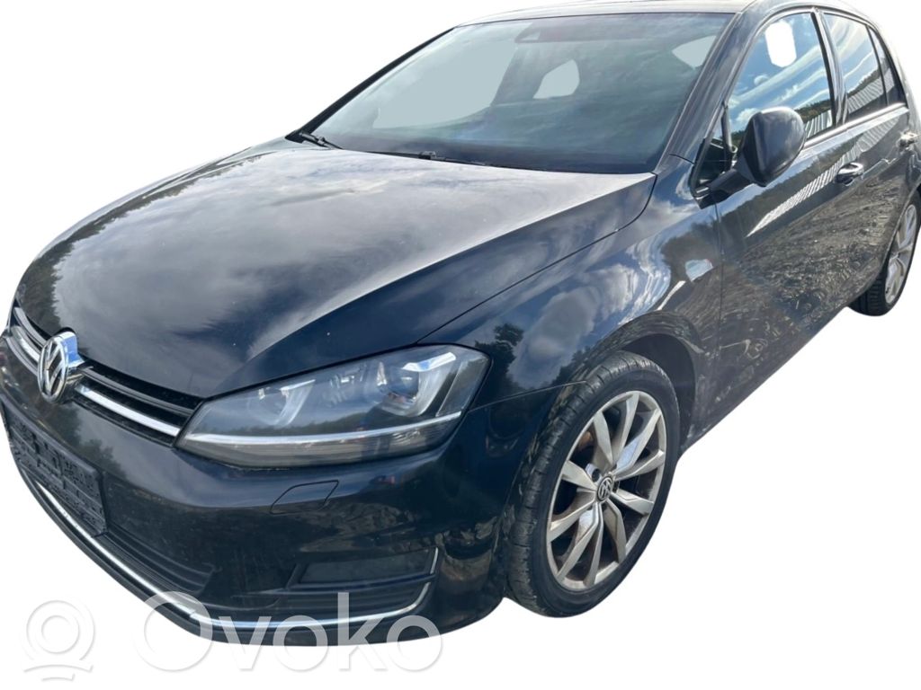 Golf VII Golf  1K0973804