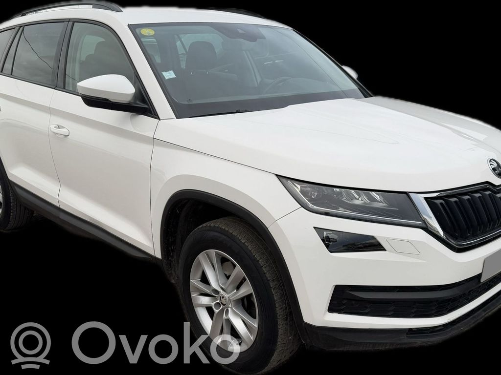 Kodiaq Kodiaq  04L906262M