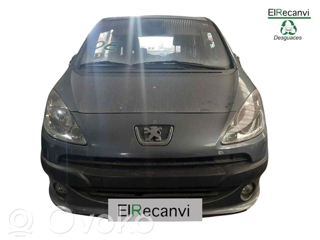 207 CC 207  9658738480