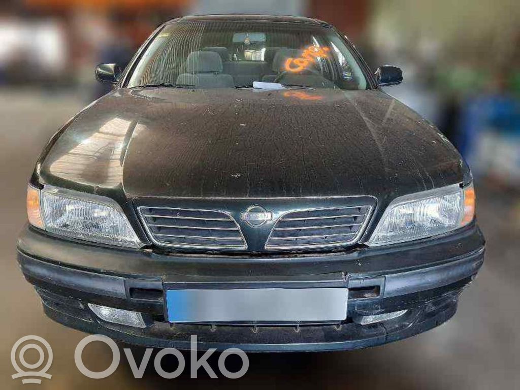 Maxima Maxima  14509