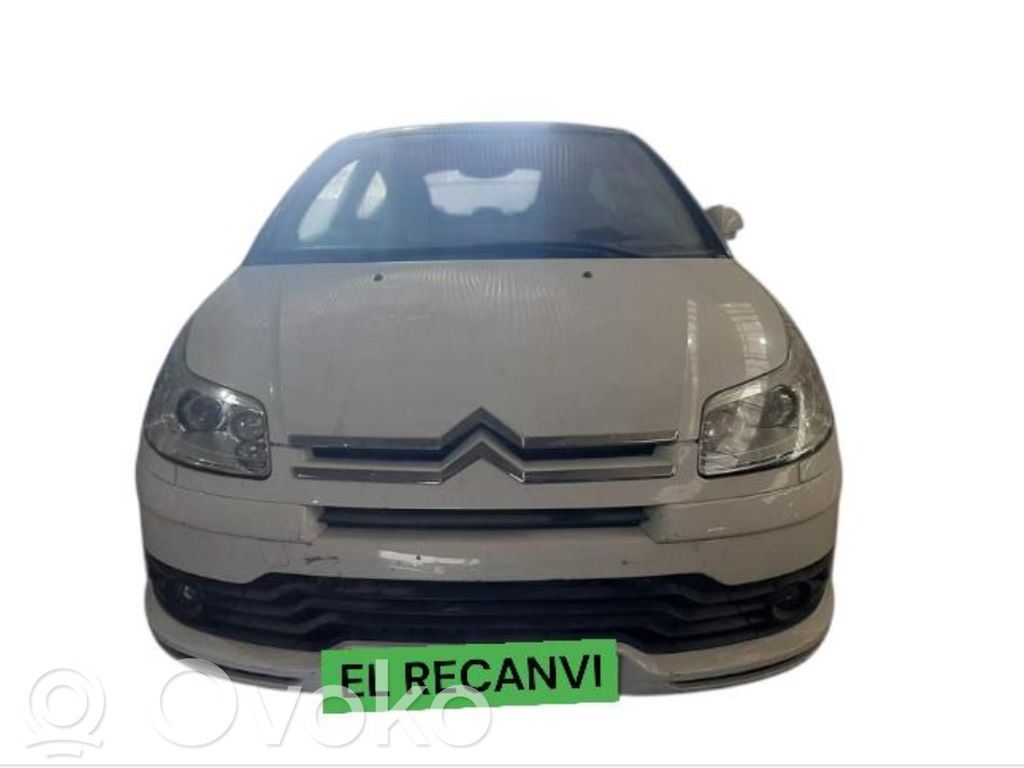 C4 I C4 Picasso, Grand Picasso, Aircross, Cactus  9663241380