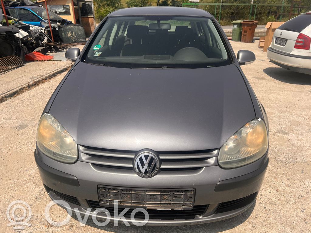 Golf V Golf  038107065LC