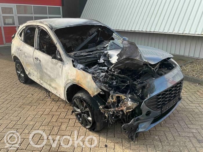 Kuga III Kuga  2830897