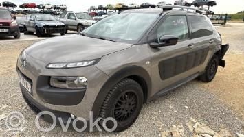 C4 Cactus C4 Picasso, Grand Picasso, Aircross, Cactus  1617406780