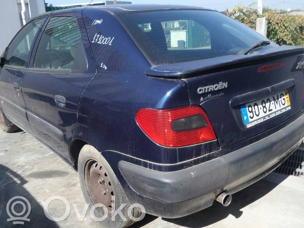 Xsara Xsara, Xsara Picasso