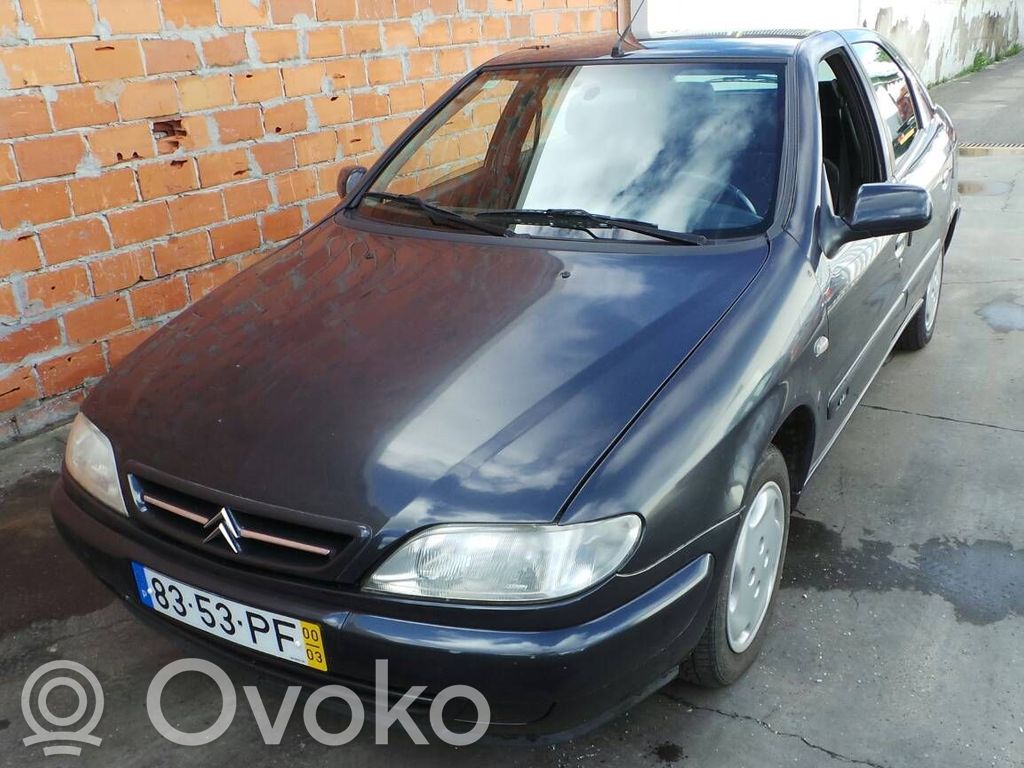 Xsara Xsara, Xsara Picasso