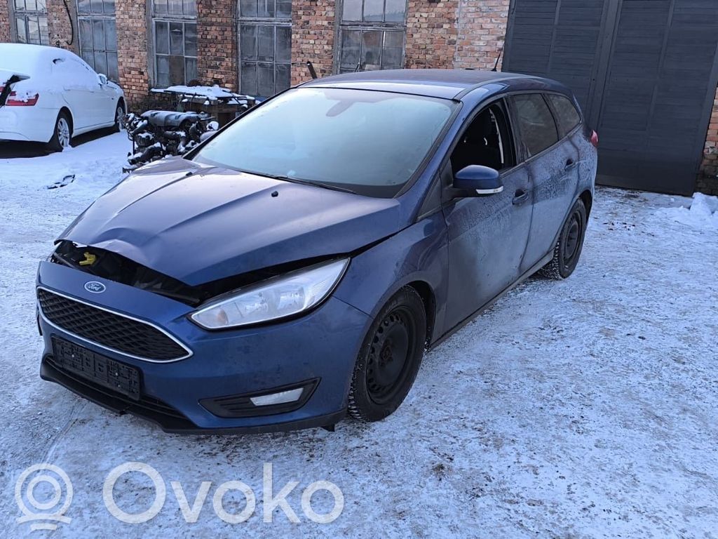 Focus Focus  10103842