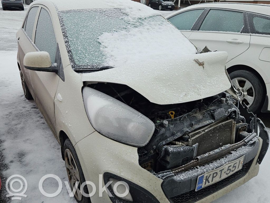 Picanto Picanto  3911103556