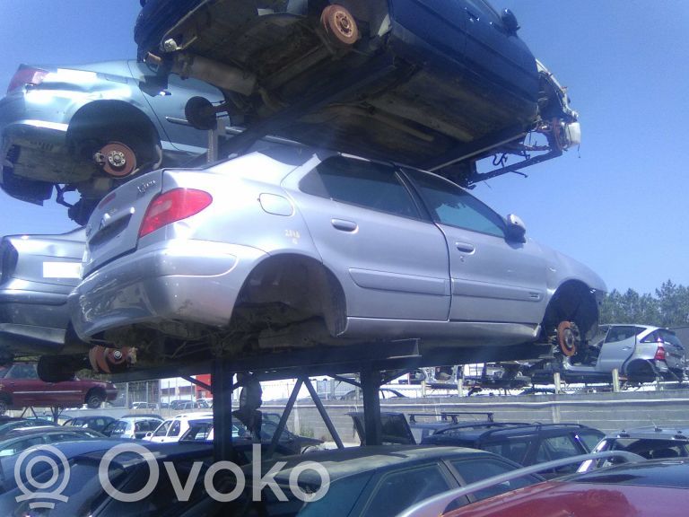 Xsara Xsara, Xsara Picasso