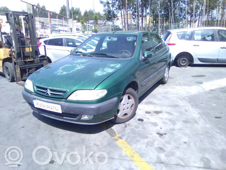 Xsara Xsara, Xsara Picasso