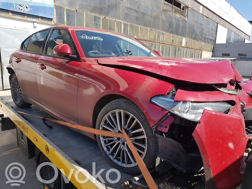 Giulia Giulia  55284779
