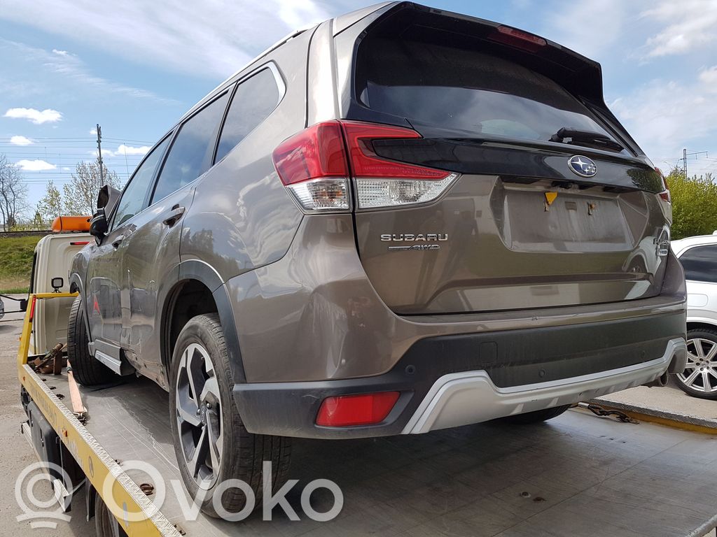 Forester SK Forester  30905