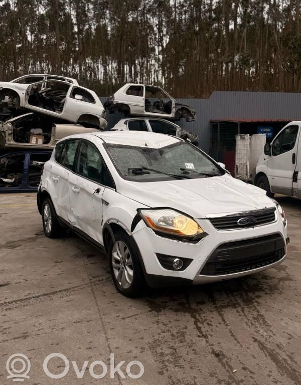 Kuga I Kuga