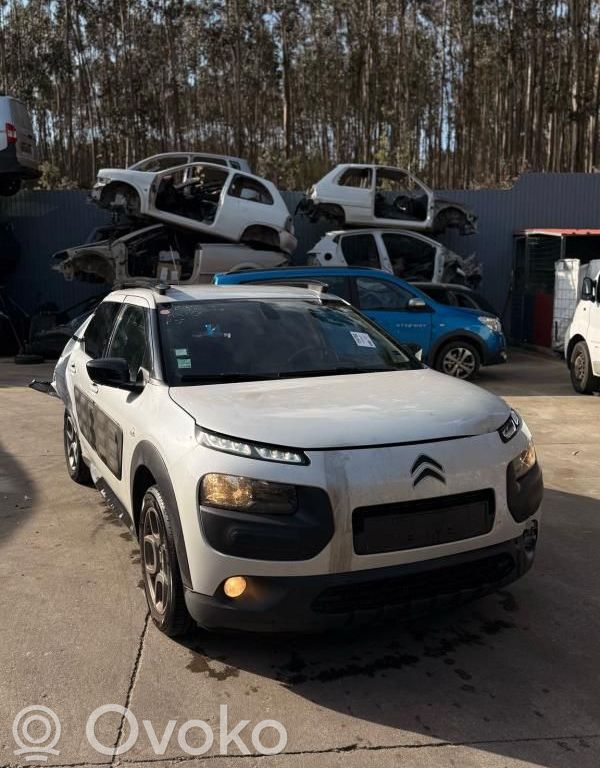 C4 Cactus C4 Picasso, Grand Picasso, Aircross, Cactus