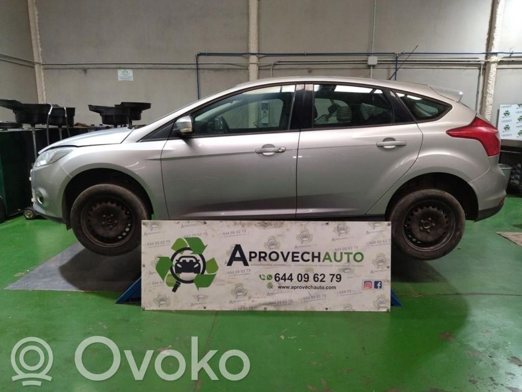Focus Focus  1706278
