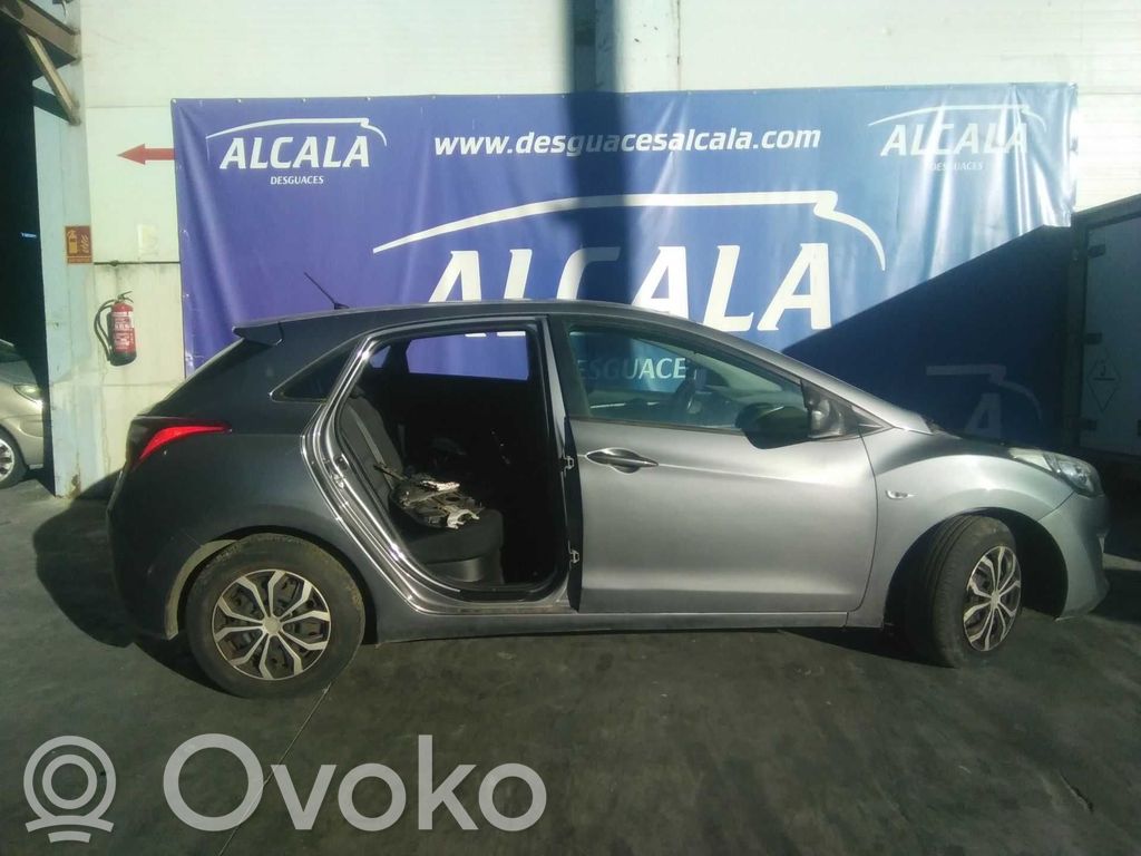 i30 i30  242002A101
