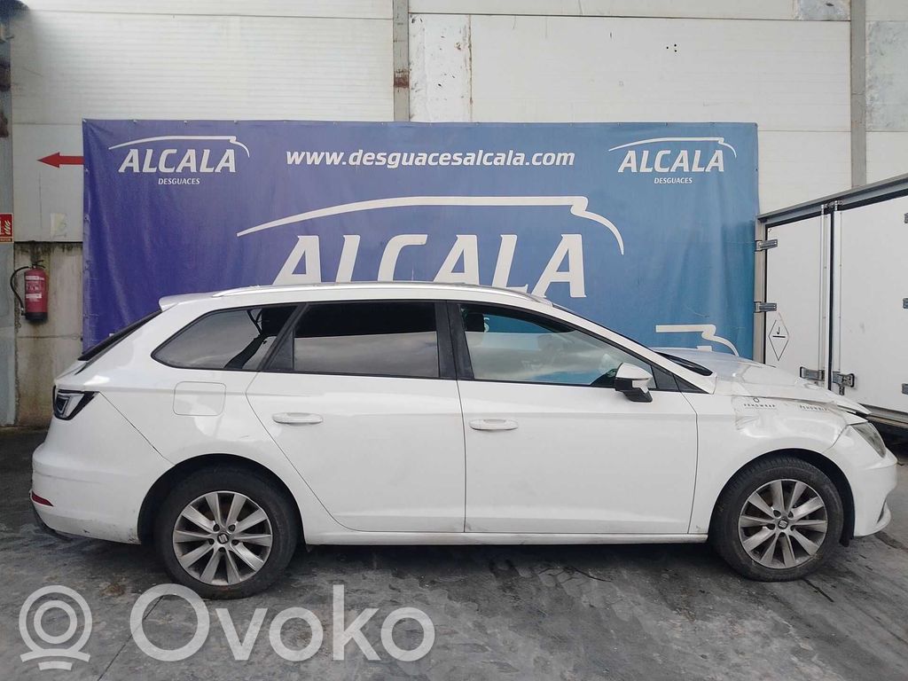 Leon (5F) Leon  5F0920742E