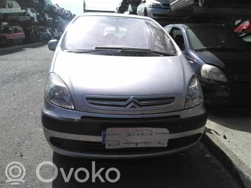 Xsara Xsara, Xsara Picasso