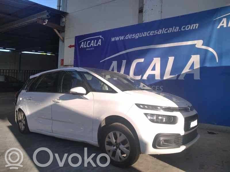 C4 Cactus C4 Picasso, Grand Picasso, Aircross, Cactus  9810310380