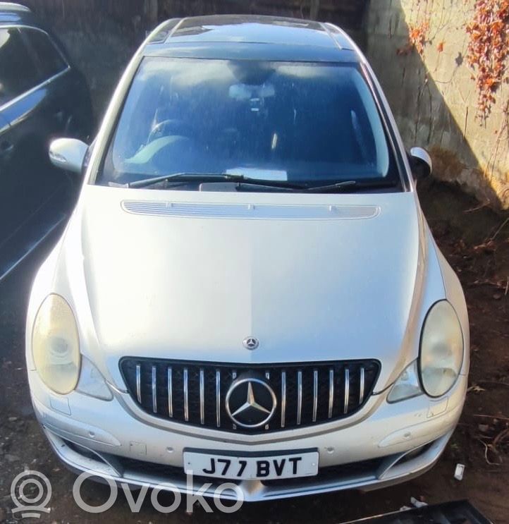 R W251 R-class, AMG (W251)  30366637A