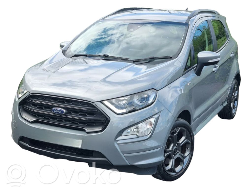Ecosport Ecosport  SOLARSILVER