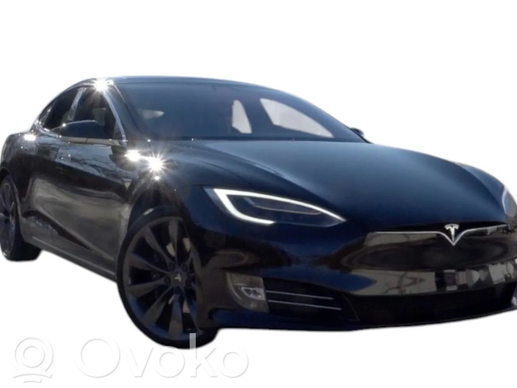 Model S Tesla Model S  107216100A