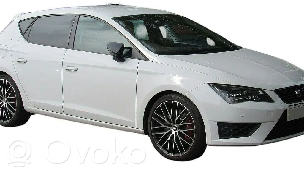 Leon (5F) Leon