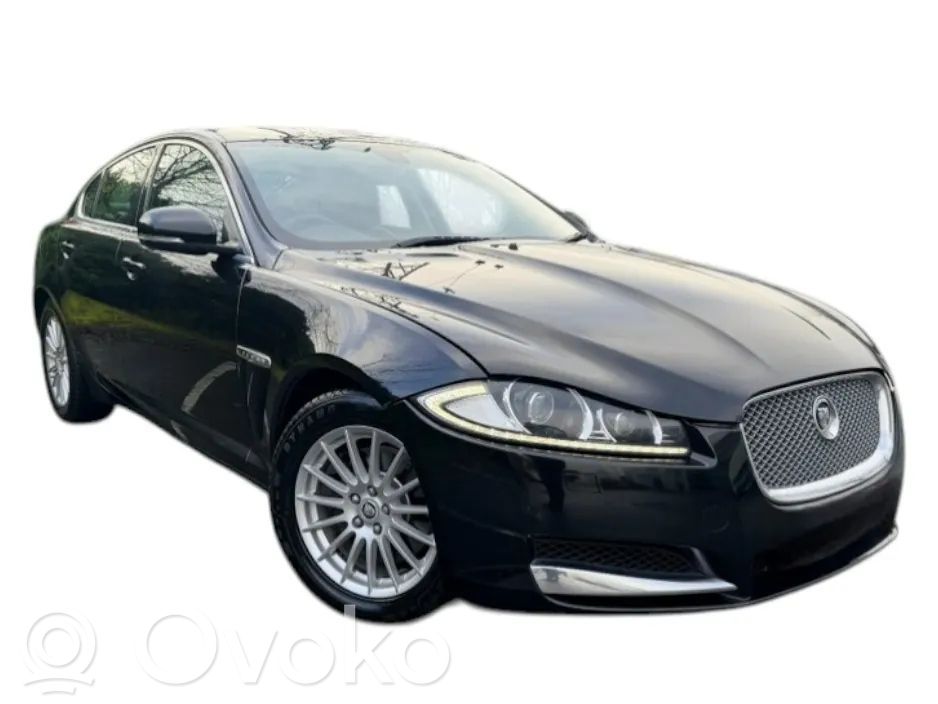 XF X250 XF  DX2312C520VA