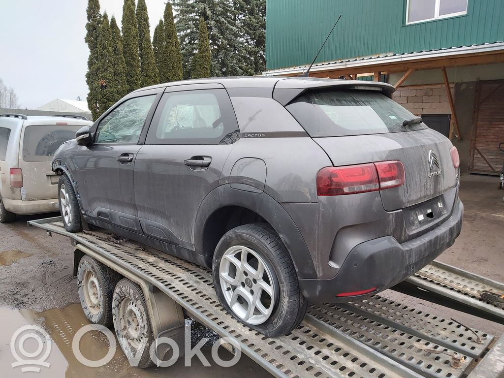 C4 Cactus C4 Picasso, Grand Picasso, Aircross, Cactus  9801353577