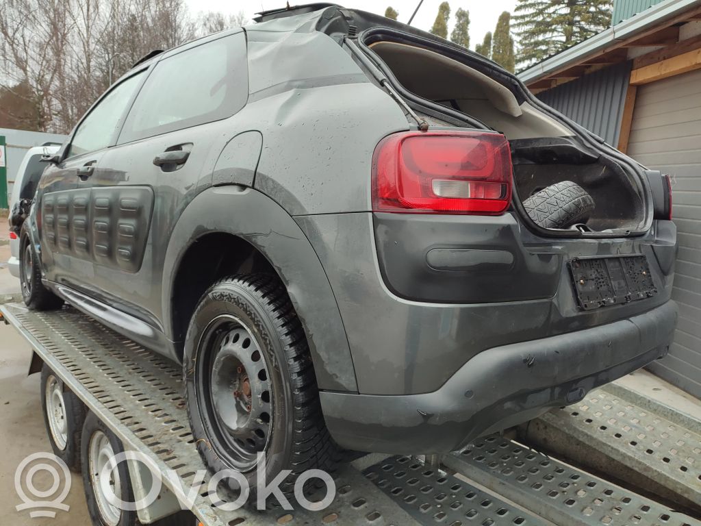 C4 Cactus C4 Picasso, Grand Picasso, Aircross, Cactus  98139463ZD