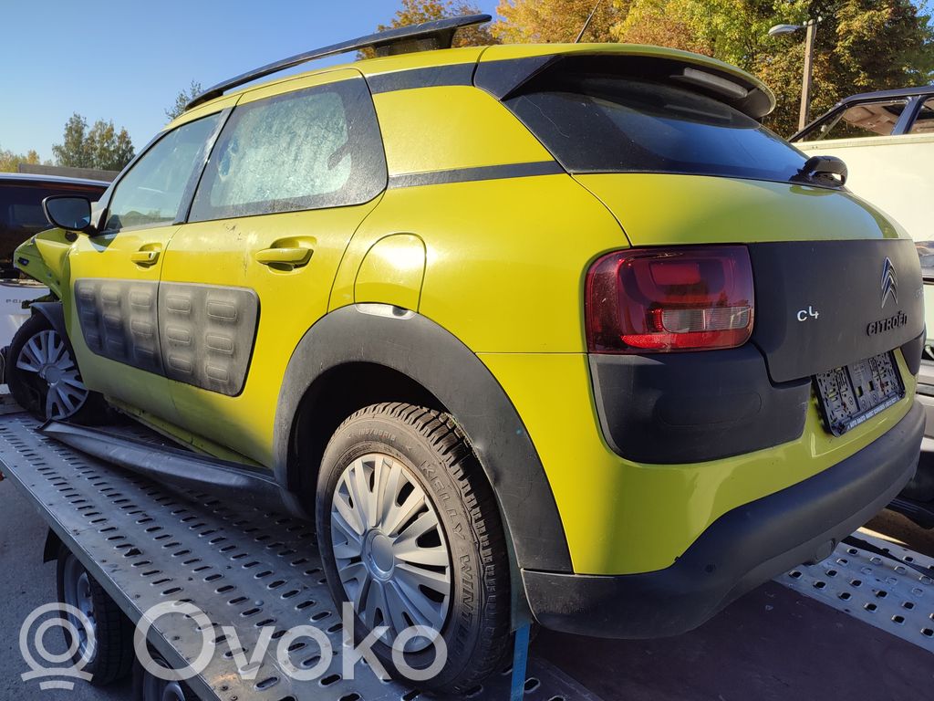 C4 Cactus C4 Picasso, Grand Picasso, Aircross, Cactus