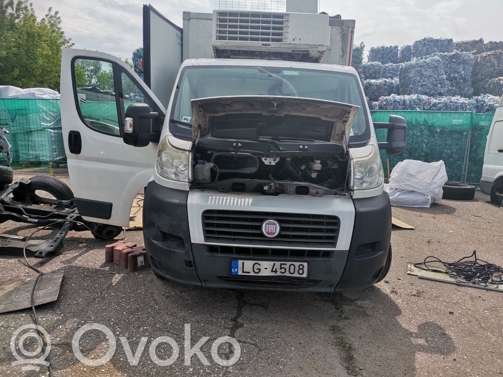 Ducato Ducato  1242453