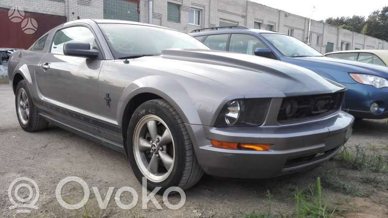 Mustang V Mustang