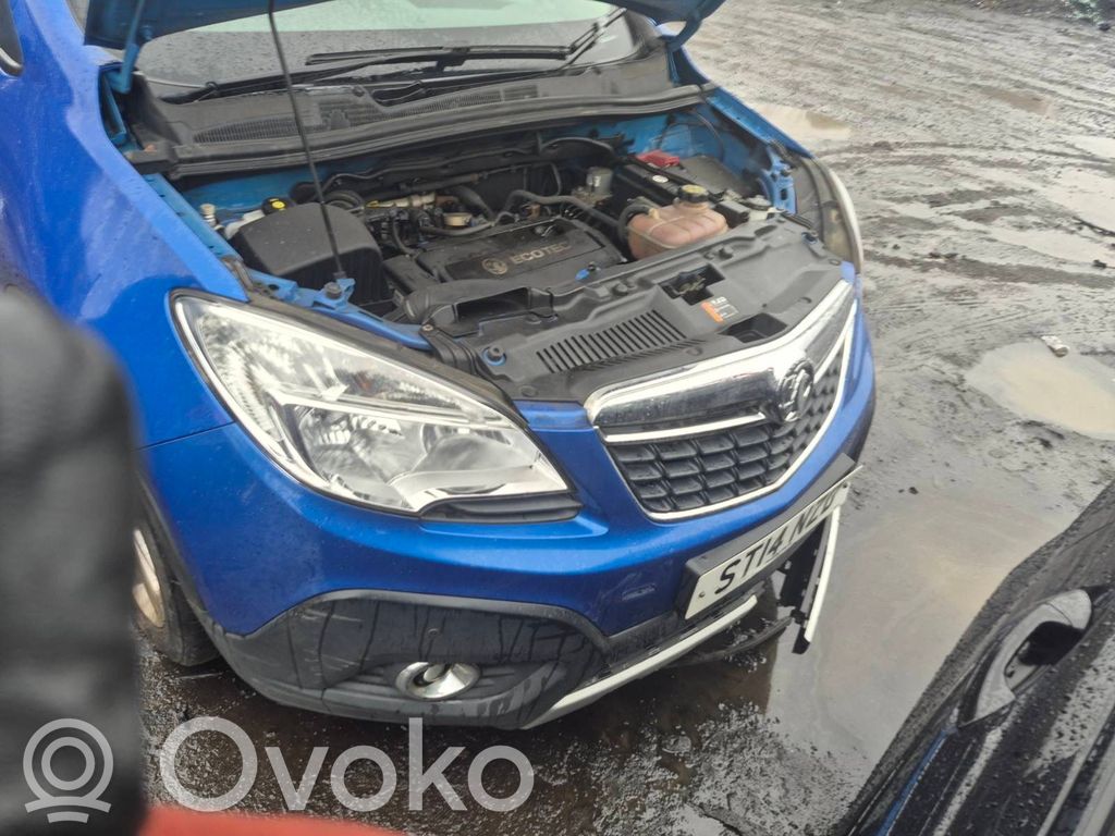 Mokka Mokka  13579675