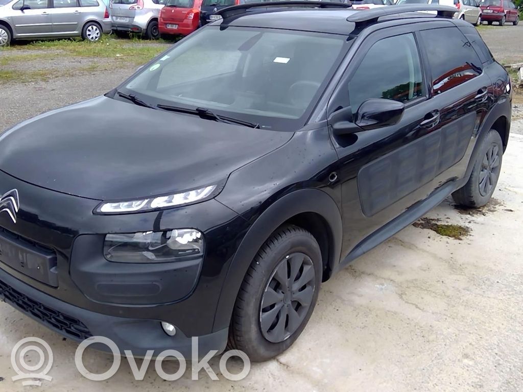 C4 Cactus C4 Picasso, Grand Picasso, Aircross, Cactus  1620373680