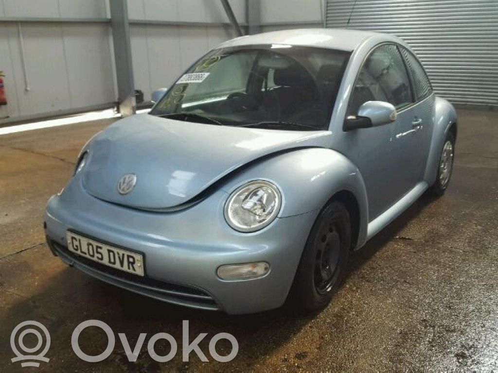 New Beetle Beetle