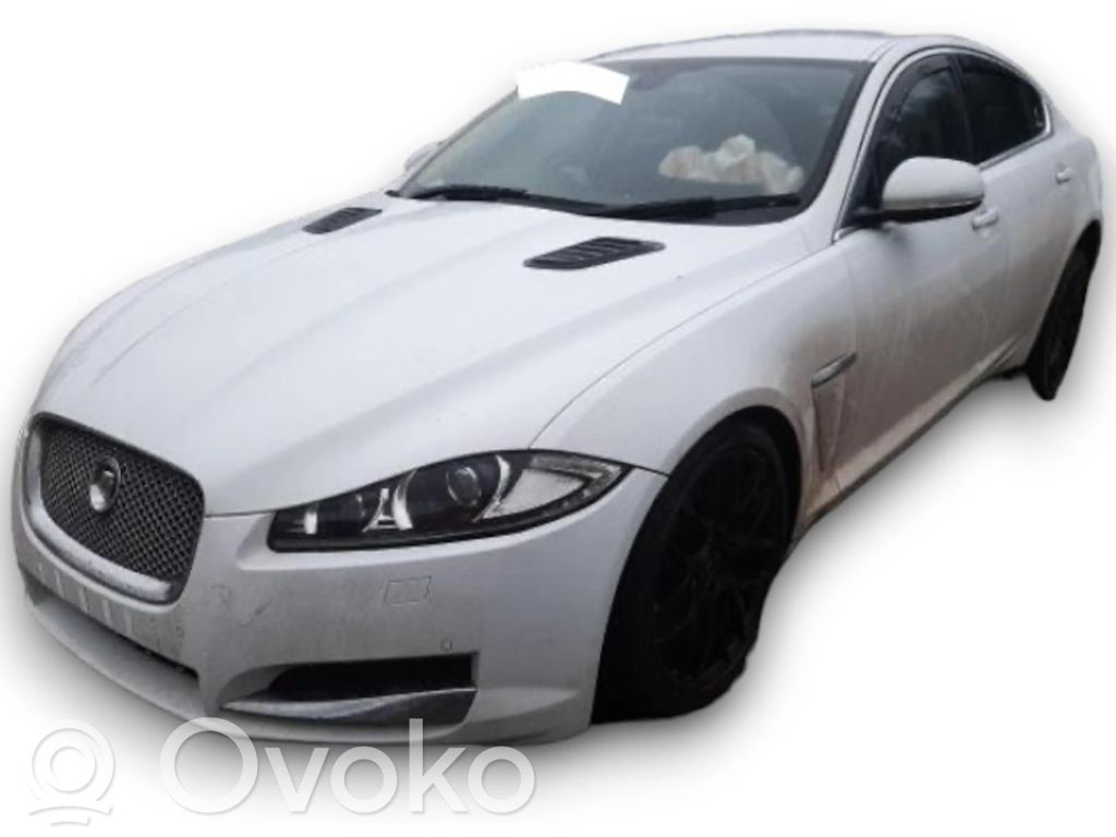 XF X250 XF  CX2314F667AM