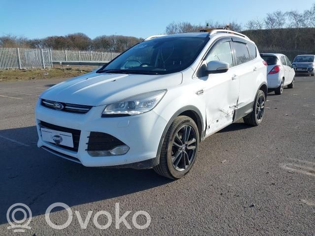 Kuga II Kuga
