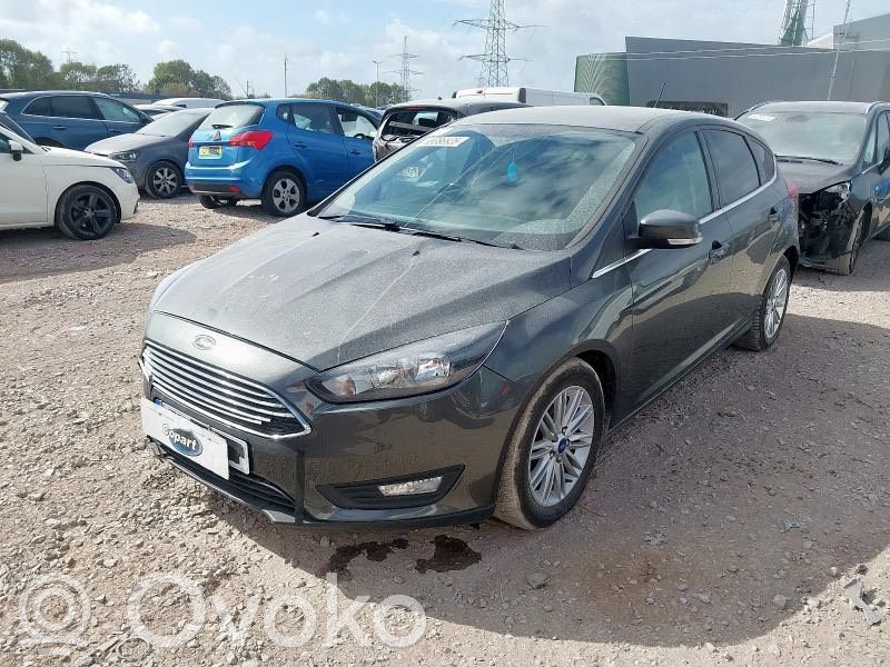 Focus Focus  1427435XCB