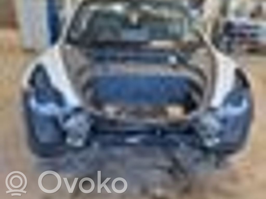 Model 3 Tesla Model 3  112096010H