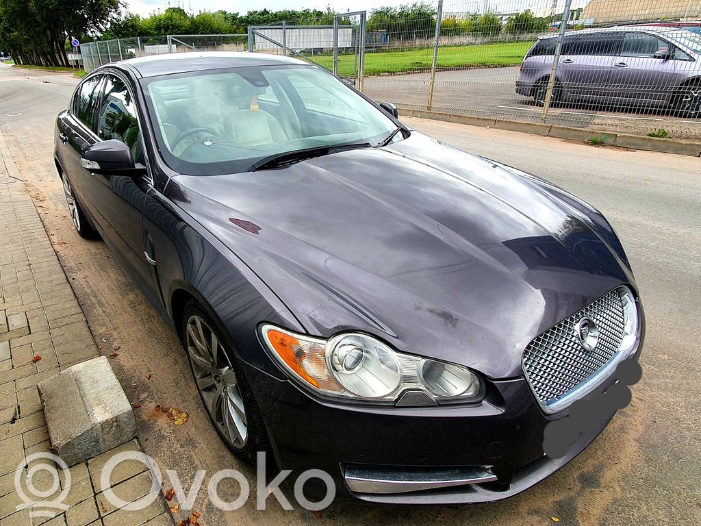XF XF  SR836037BB