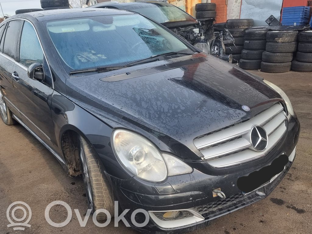 R AMG W251 R-class, AMG (W251)  30337218G