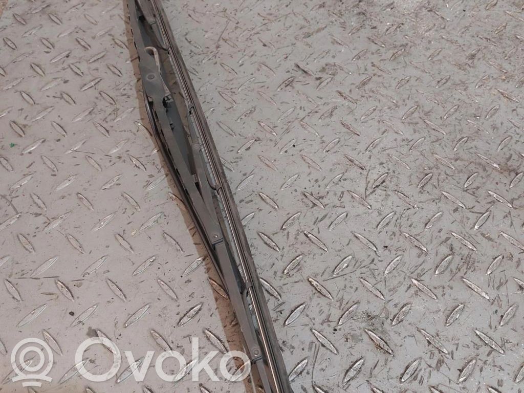 Nemo Nemo  1606854280