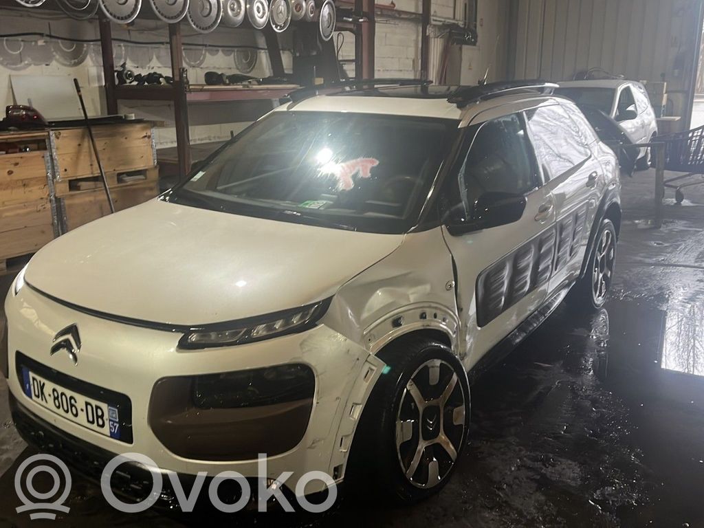 C4 Cactus C4 Picasso, Grand Picasso, Aircross, Cactus  1667025580