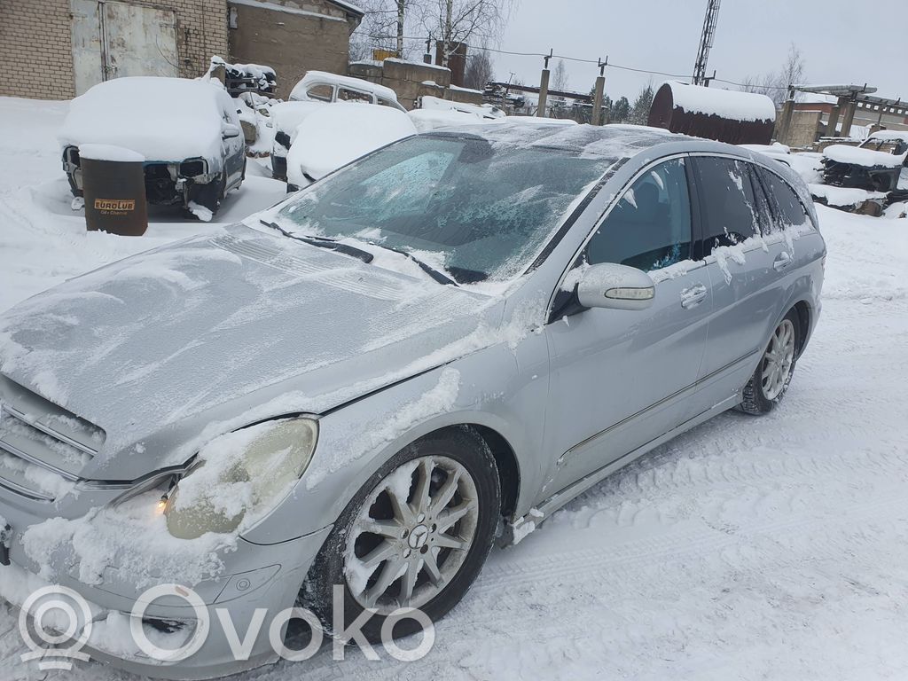 R W251 R-class, AMG (W251)  1645450708